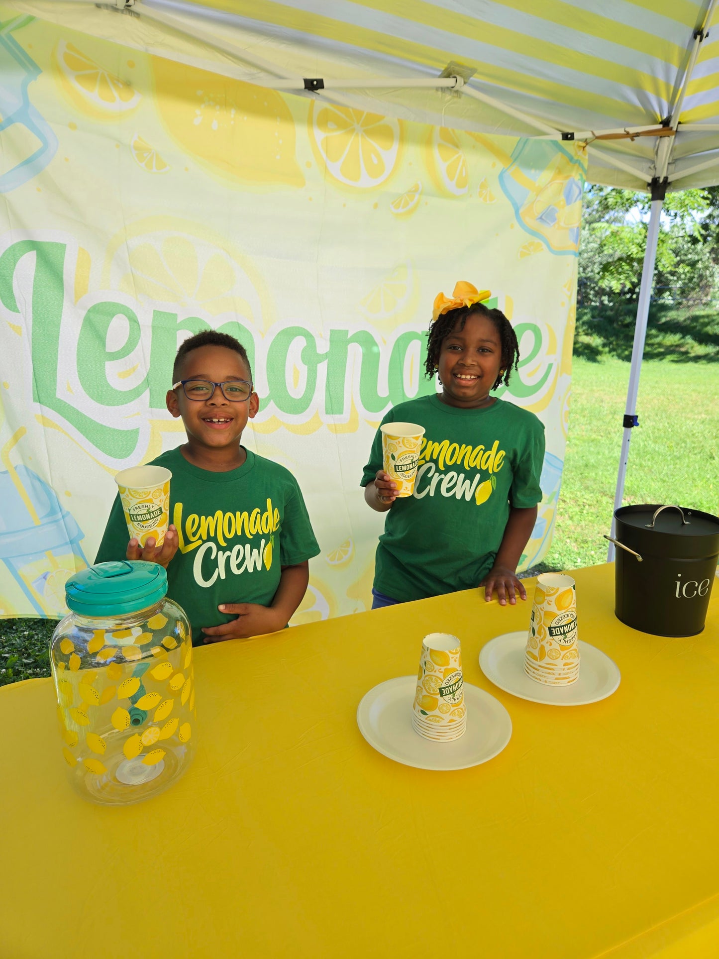 12 oz - Fresh-Squeezed Lemonade