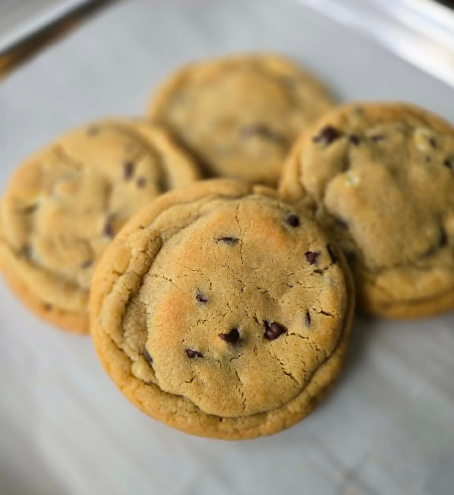 Santa's Cookies - Classic Chocolate Chip